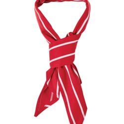 Chefs Scarf Thumbnail